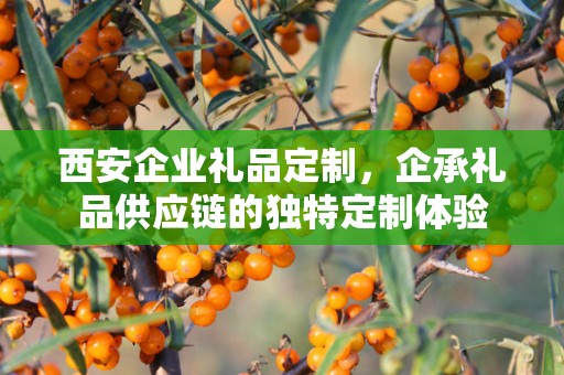 西安企业礼品定制，企承礼品供应链的独特定制体验